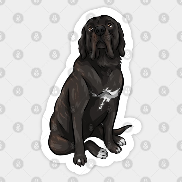 Dark brindle english mastiff on sale